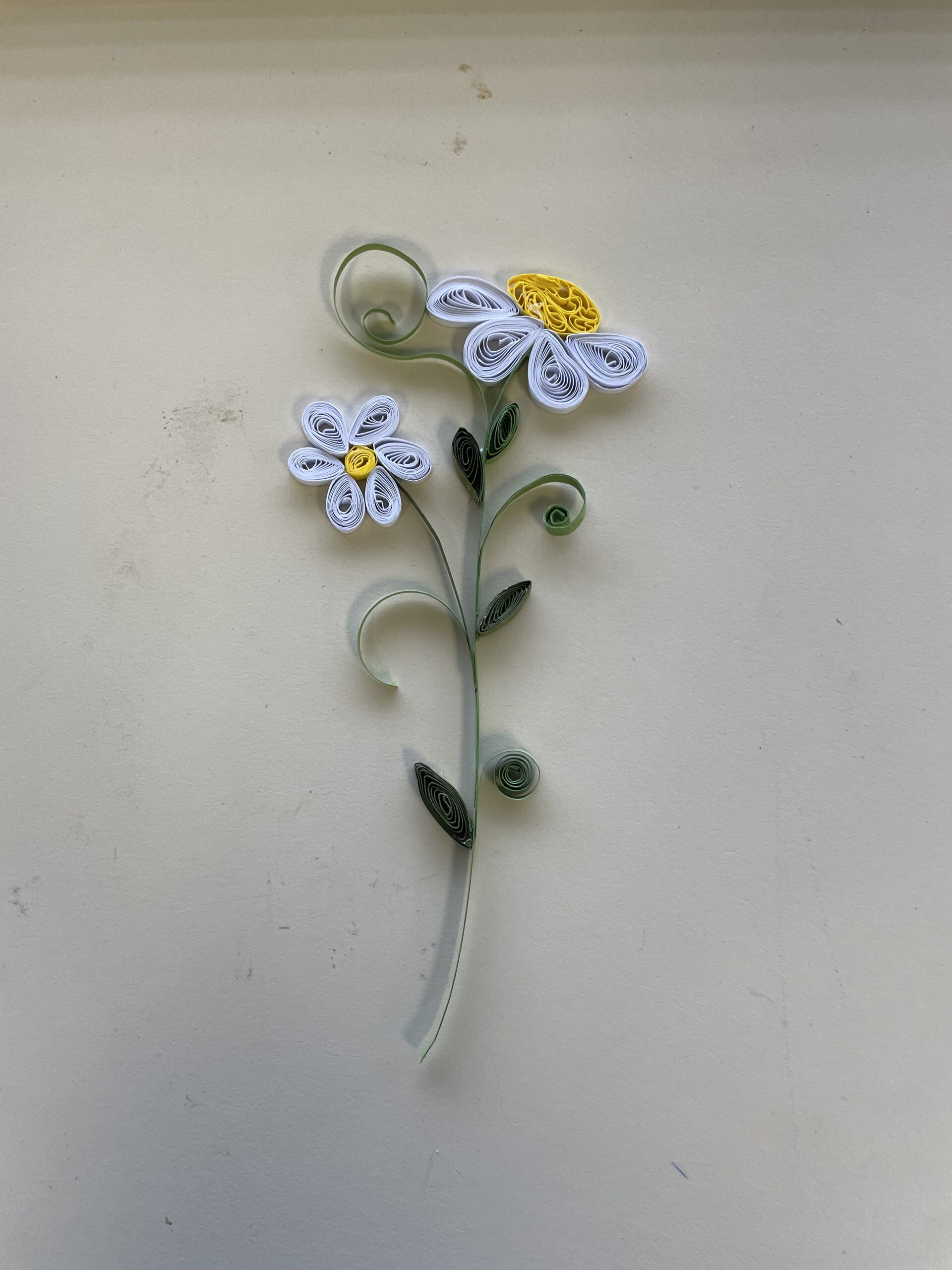 Daisy Paper Quilling