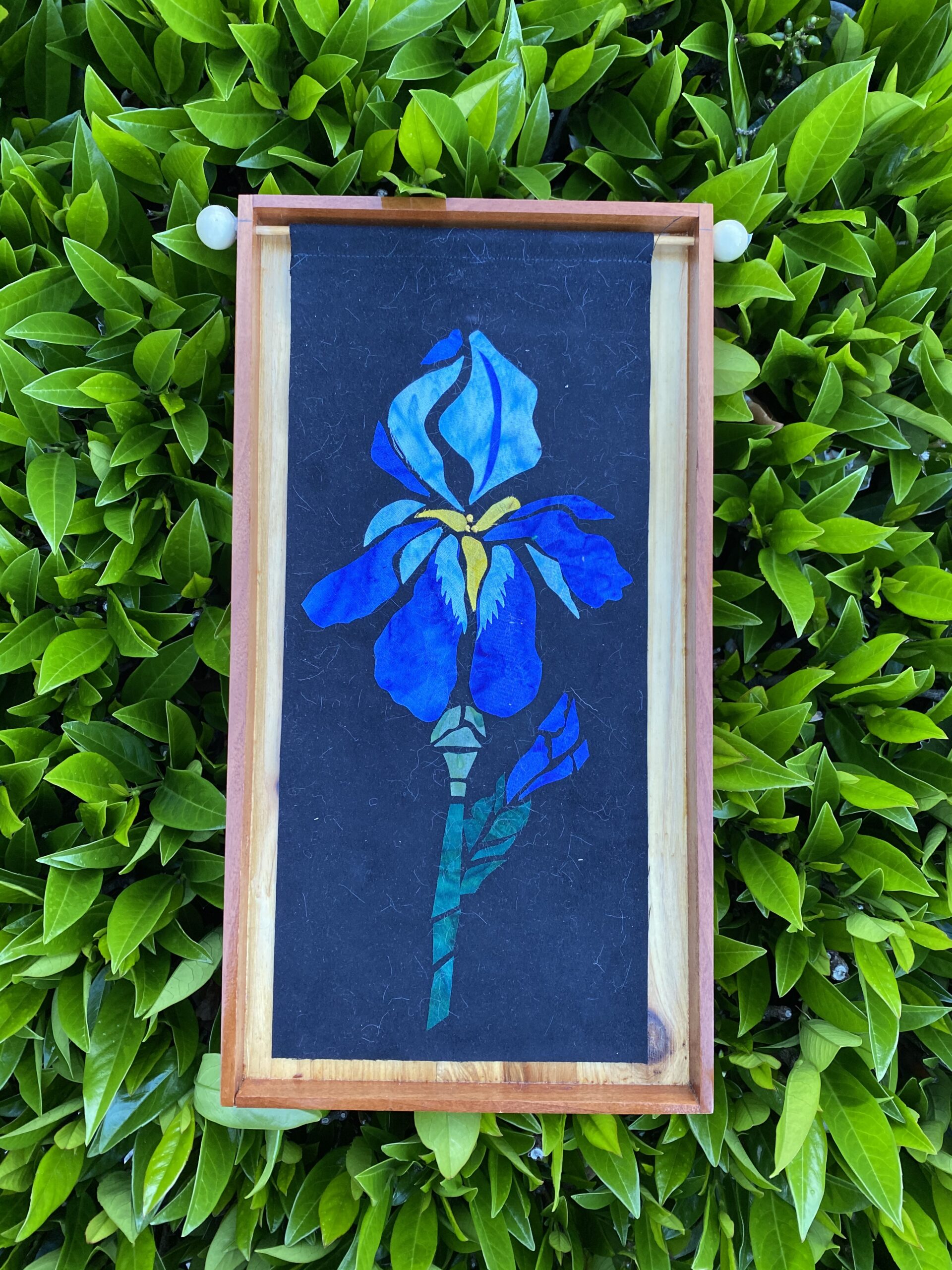 Batik Iris